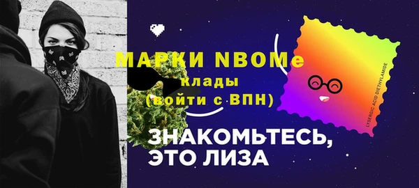 стаф Лабытнанги